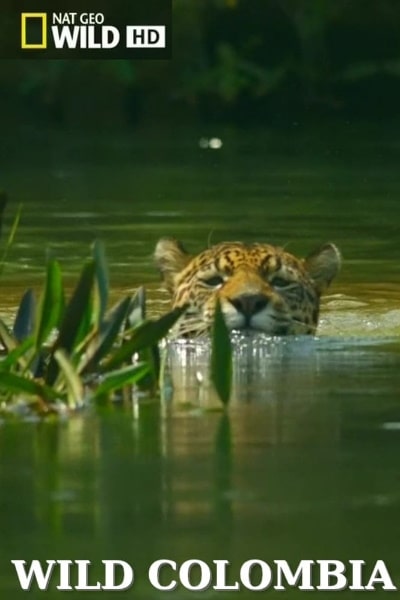 Destination Wild: Colombia - Season 1