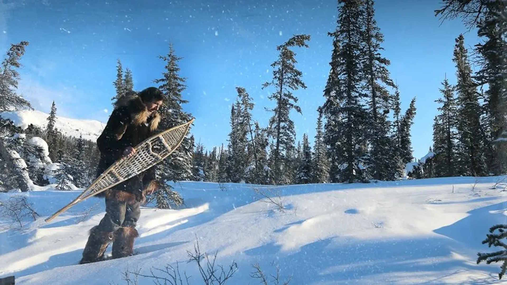 Season 16