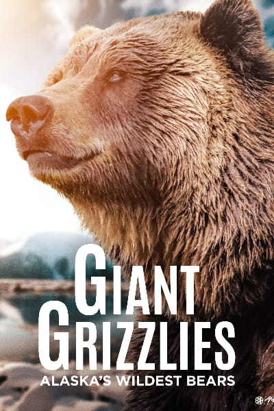 Alaskas Giant Bears (Alaskas Riesenbaren)