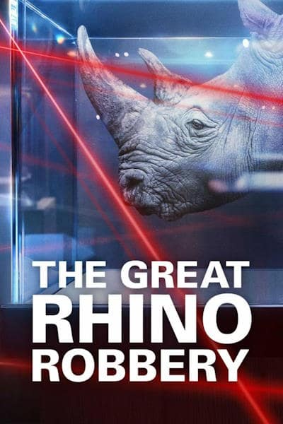 The Great Rhino Robbery - Season 1