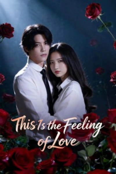 This Is the Feeling of Love - Season 1