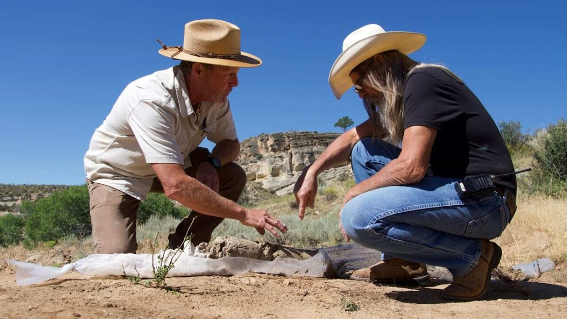 Season 5