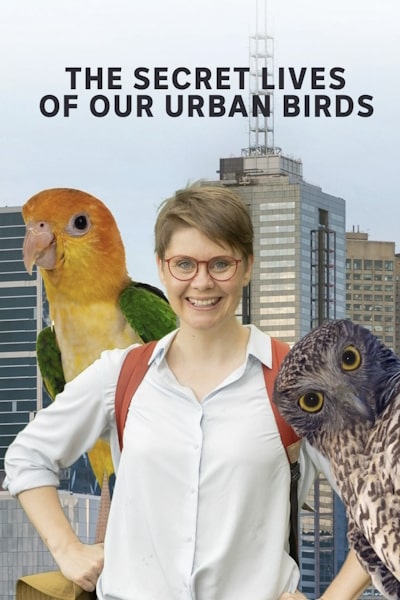 The Secret Lives Of Our Urban Birds - Season 1