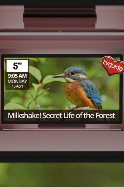 Milkshake Secret Life of the Forest - Season 1