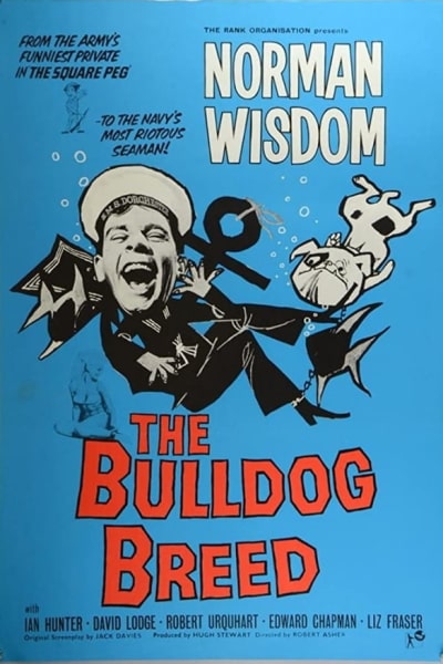 The Bulldog Breed