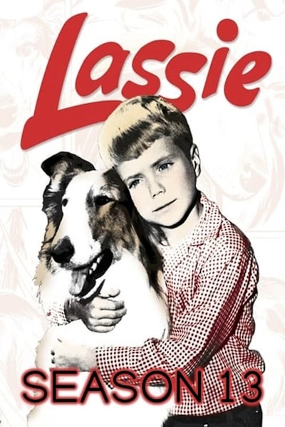 Lassie - Season 13