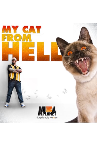 My Cat From Hell - Season 6