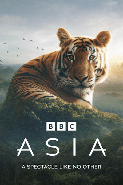 Asia - Season 1