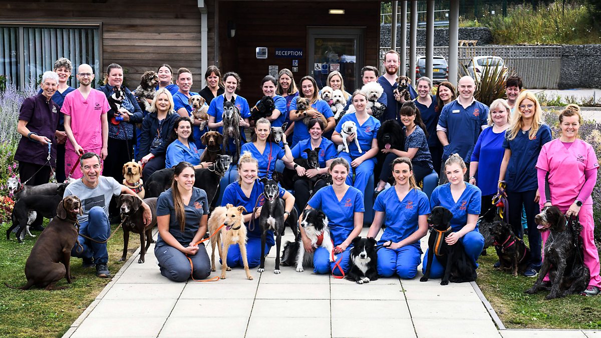 24/7 Pet Hospital - Season 1
