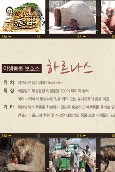 Law of the Jungle - Season 1