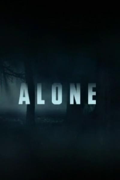 alone netflix show