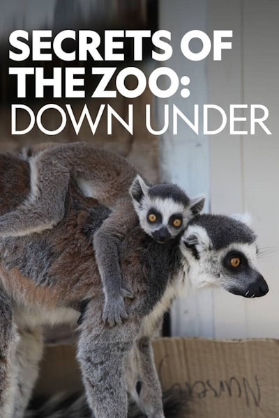 Secrets of the Zoo: Down Under - Season 4