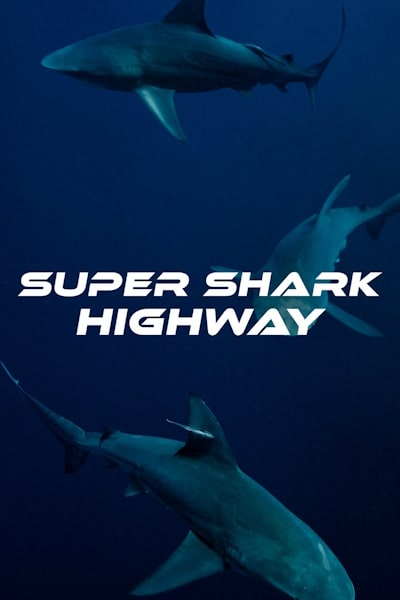 Super Shark Highway - Season 1